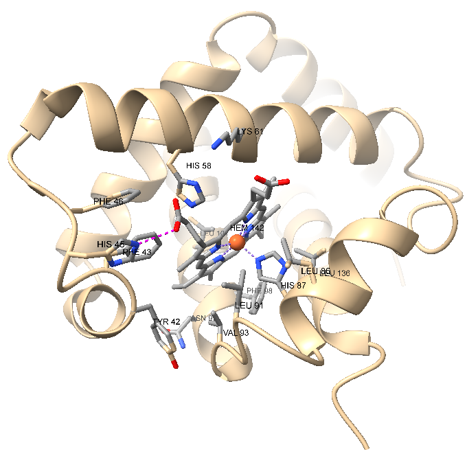 Description of the image