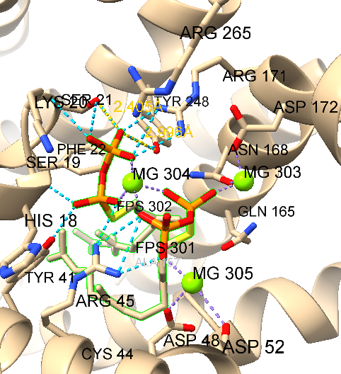 Description of the image