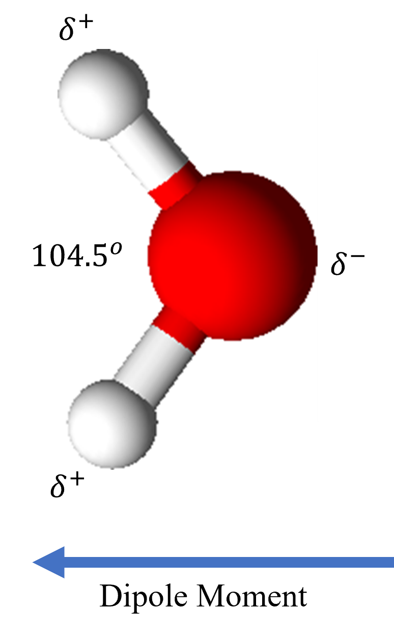 Description of the image